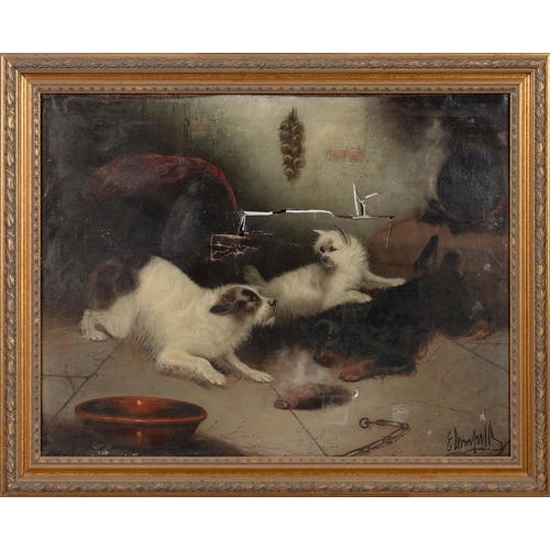 1176 - Edward Armfield (1817-1896) - Three Terriers in a Cellar,  signed, oil on canvas, 69.... 