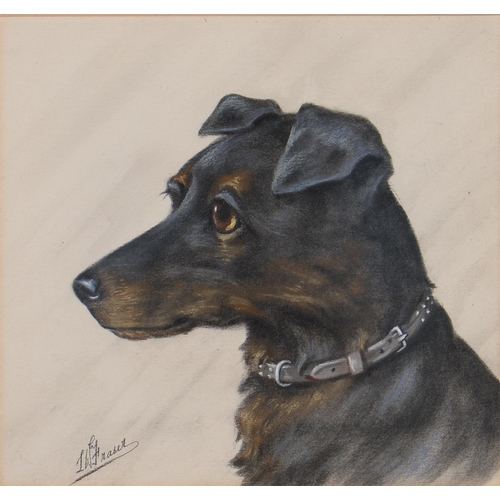 1210 - L W Fraser (20th c) - Portraits of Dogs, a set of three, all signed, pastel, 23 x 25.5cm (3)... 