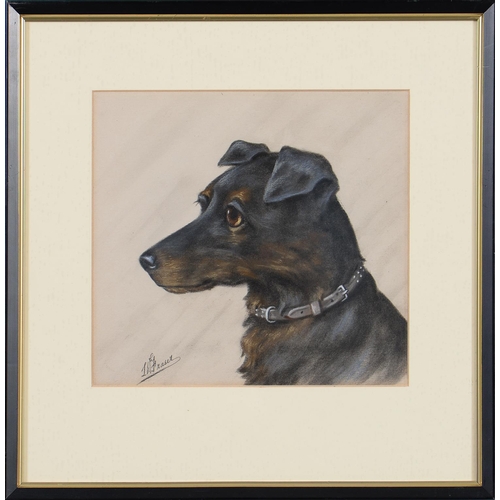 1210 - L W Fraser (20th c) - Portraits of Dogs, a set of three, all signed, pastel, 23 x 25.5cm (3)... 