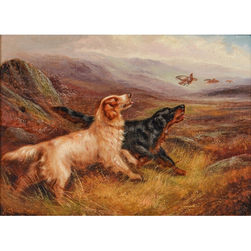 1231 - Robert Cleminson (1864-1903) - Gun Dogs on a Grouse Moor, signed, oil on canvas, 24.5 x 34cm... 