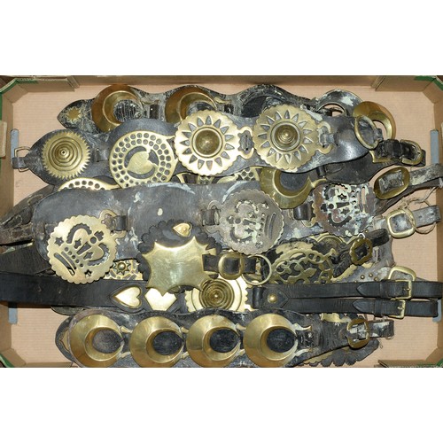 531 - Miscellaneous horse brasses, various patterns