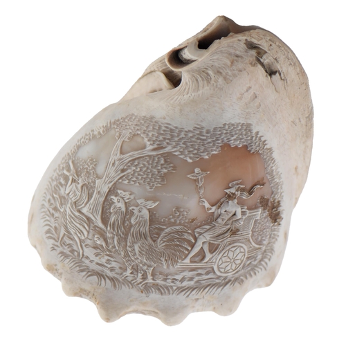 737 - A cameo bull mouth shell, 19th / 20th c, carved with Mercury in his chariot, 14.5cm