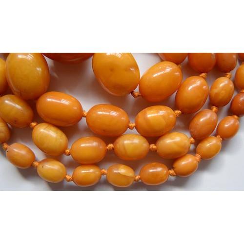 102 - A necklace of amber beads, 67g