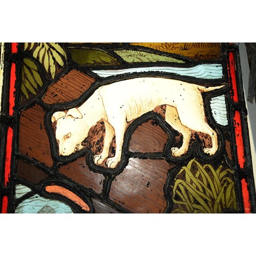 947 - A Victorian stained glass window light of a dog gazing at it's reflection in water, 52 x 37cm, unfra... 