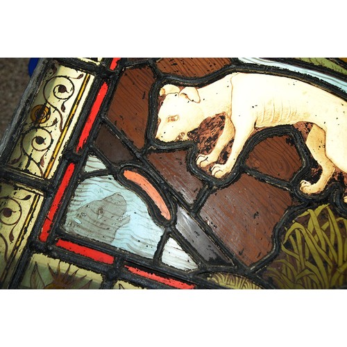 947 - A Victorian stained glass window light of a dog gazing at it's reflection in water, 52 x 37cm, unfra... 