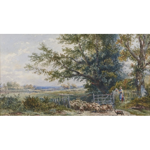 286 - Joseph Paul Pettitt (1812-1882) - Driving Sheep, signed, watercolour, 24.5 x 34.5cm