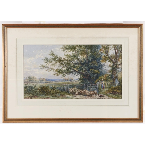 286 - Joseph Paul Pettitt (1812-1882) - Driving Sheep, signed, watercolour, 24.5 x 34.5cm