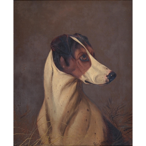 481 - Colin Graeme Roe (1858-1910) - Head of a Terrier; Head of a Hound, a pair, both signed, oil on canva... 