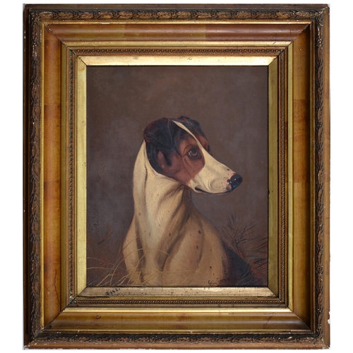 481 - Colin Graeme Roe (1858-1910) - Head of a Terrier; Head of a Hound, a pair, both signed, oil on canva... 