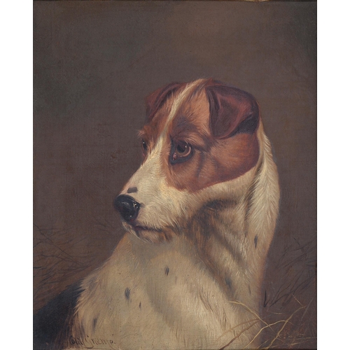 481 - Colin Graeme Roe (1858-1910) - Head of a Terrier; Head of a Hound, a pair, both signed, oil on canva... 