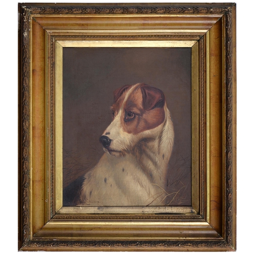 481 - Colin Graeme Roe (1858-1910) - Head of a Terrier; Head of a Hound, a pair, both signed, oil on canva... 