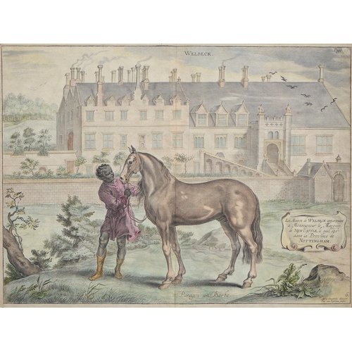 485 - Horsemanship. Abraham van Diepenbeke - Methode et Invention Nouvelle de Dresse et les Chevaux par Le... 