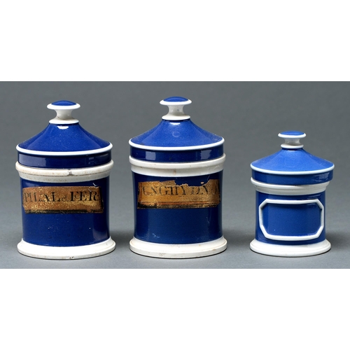 583 - Miscellaneous chemist's blue and other glass bottles and earthenware jars and covers, late 19th and ... 