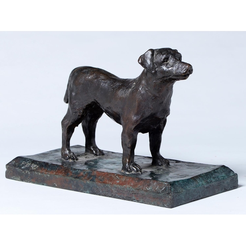 1026 - Peter James Wild (1933-2015) - Dog, bronze, signed with initials (PW) and dated '07, rich brown gree... 