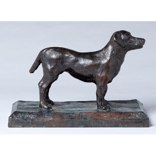 1026 - Peter James Wild (1933-2015) - Dog, bronze, signed with initials (PW) and dated '07, rich brown gree... 