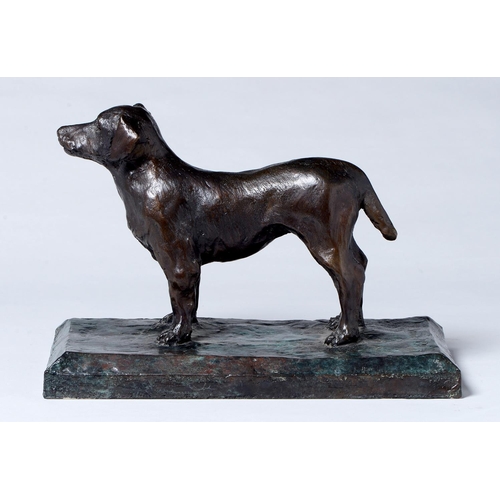 1026 - Peter James Wild (1933-2015) - Dog, bronze, signed with initials (PW) and dated '07, rich brown gree... 