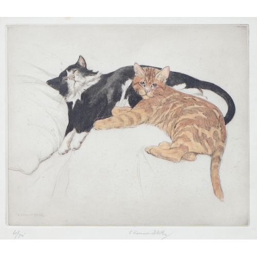 1155 - George Vernon Stokes RBA, RMS (1873-1954) - Two Cats, etching, signed by the artist in pencil and nu... 