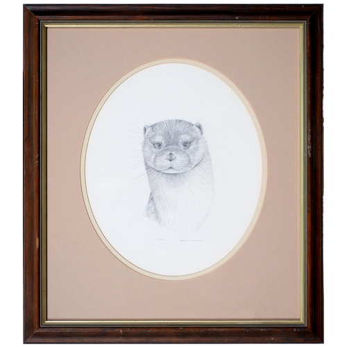 1157 - Patrick A Oxenham (1922-1996) - Otter, signed and inscribed, pencil, oval, 30cm