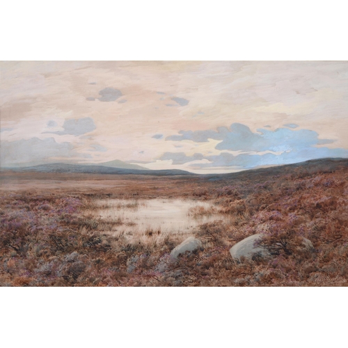 1160 - Frederick Tucker (1860-1935) - A Cumbrian Bog, signed, watercolour, 47.5 x 74cm