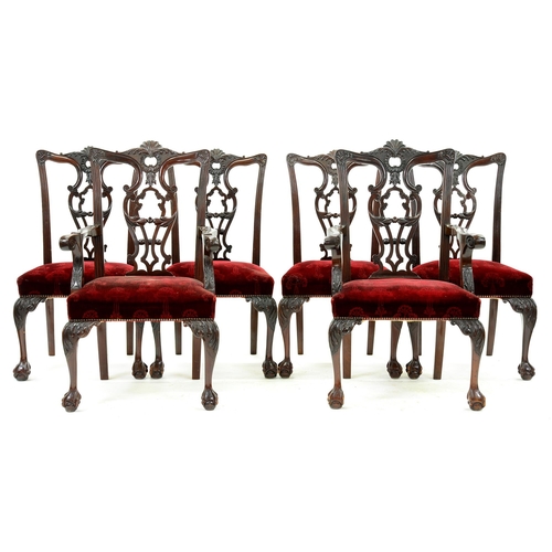 1355 - A set of six carved mahogany dining chairs, c1930, in George II style, on cabriole legs and claw and... 