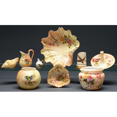 765 - A Royal Worcester shell dish, 1907, printed and painted with flowers on a shaded apricot ground, 13c... 