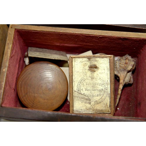 301 - A mahogany and ebony collector's cabinet, 19th c, fitted with sixteen drawers with brass wire ring p... 