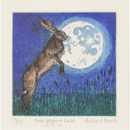 1084 - Richard Pocock, 20th / 21st c - Moongazing Hare, aquatint, signed by the artist in pencil, inscribed... 