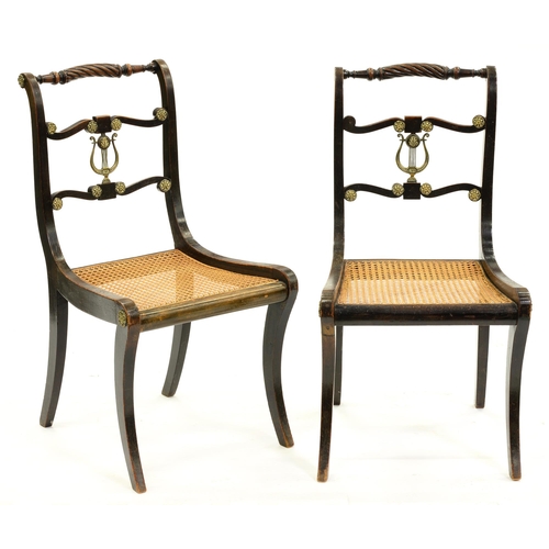 1383 - A pair of Regency brass mounted and grained rosewood chairs, of beech with caned seats, seat height ... 