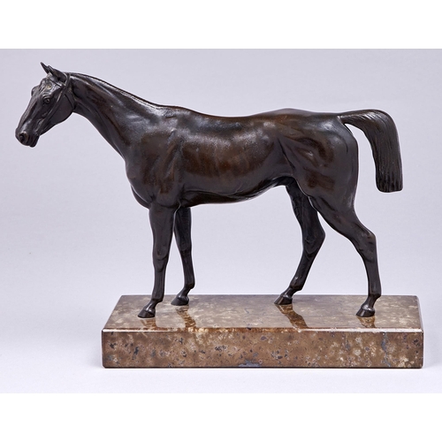 459 - An equestrian bronze sculpture of a stallion, 20th c, even dark brown patina, on serpentine base, 24... 