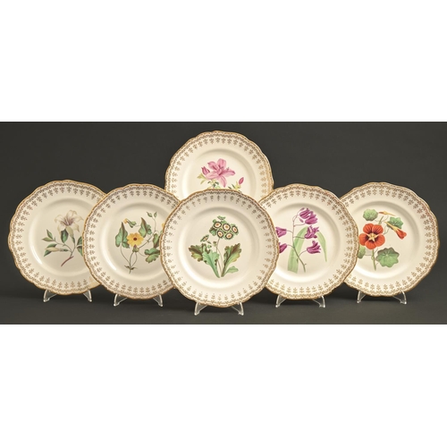 172 - A set of six Staffordshire bona china botanical dessert plates, c1850, painted with an auricula, lil... 