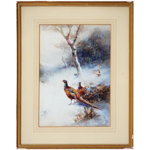 659 - William Seabourne Powell (1878-1949) - Pheasants in the Snow, signed and dated '21, watercolour, 23.... 