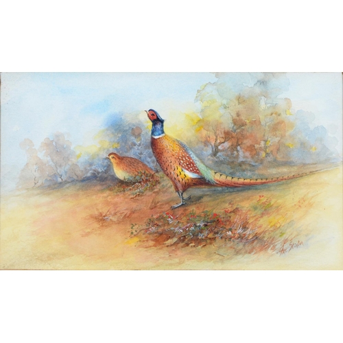 665 - James Stinton (1870-1961) - Pheasants, signed, watercolour, 15.5 x 27.5cm