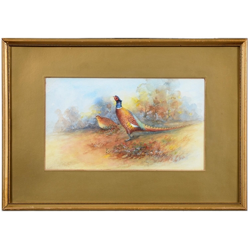 665 - James Stinton (1870-1961) - Pheasants, signed, watercolour, 15.5 x 27.5cm