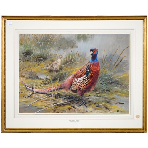 688 - George Edward Lodge FZS (1860-1954) - Prince of Wales Pheasant, signed, watercolour, 50 x 70cm... 