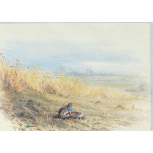 693 - Vincent Balfour-Browne (1880-1963) - Partridge in a Field, signed with initials and dated 1906, wate... 