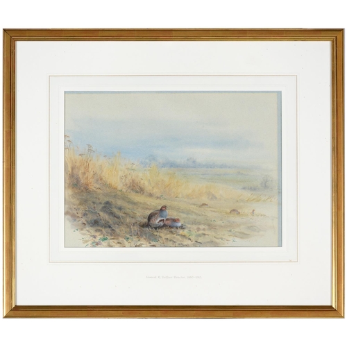 693 - Vincent Balfour-Browne (1880-1963) - Partridge in a Field, signed with initials and dated 1906, wate... 