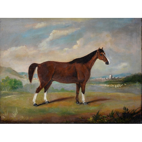 733 - Underwood, British Journeyman Artist, mid-19th c - Portrait of a Horse, 