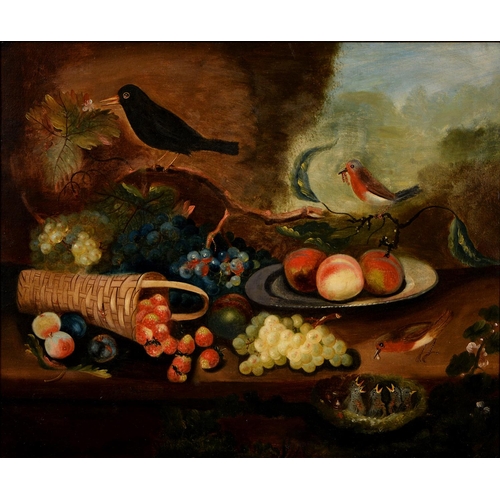 742 - Robert Beesly, English Naive Artist, second-half 18th c - Still Life with a Blackbird, a Robin Feedi... 