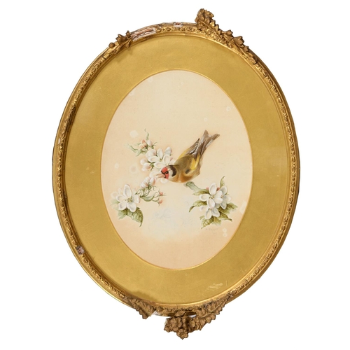 823 - Henry Barnabus Bright the Younger (1846-1897) - Goldfinch on Blossom; Blackbird and Nest, a pair, bo... 