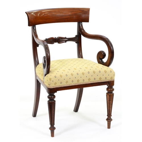 875 - A William IV mahogany elbow chair, with scroll arms on lappeted forelegs