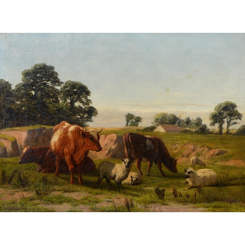 1092 - Alfred Grey RHA (1845-1926) - Sheep and Cattle, oil on canvas, 32 x 44cm
