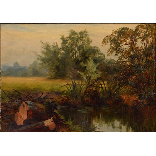1099 - William Wilde (1826-1901) - Shallow Water; A Shady Stream, a pair, both signed, oil on canvas laid o... 