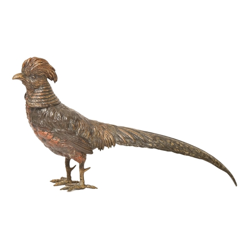 204 - A cold painted Vienna bronze sculpture of a golden pheasant, early 20th c, 33cm l