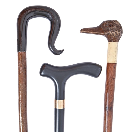 221 - Walking sticks. A blackthorn crook, with horn handle, another, the handle carved as the head of a bi... 