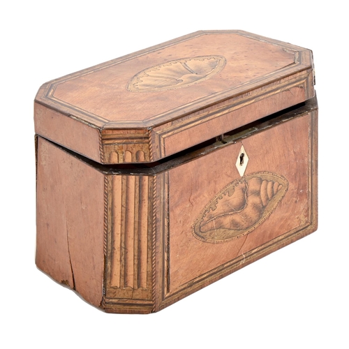 225 - A George III satinwood and 'hare wood' tea chest, the divided interior with two covers, 19cm l, 13cm... 