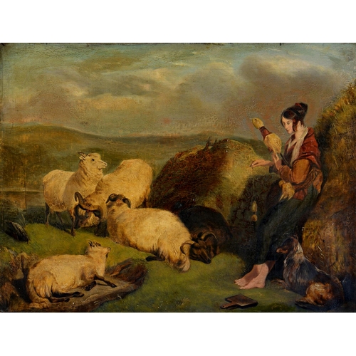 375 - After Sir Edwin Henry Landseer - A Highland Shepherdess and her Flock, oil on canvas, 45 x 60cm... 