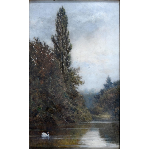 386 - John Surtees (1819-1915) - Dovedale; Swan on a River, a pair, both signed, oil on canvas, 53 x 31cm ... 