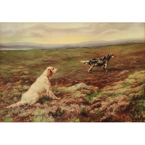 406 - After Maud Earl - Setters; Spaniels, a pair, reproductions printed in colour, 21.5 x 30.5cm, ebonise... 