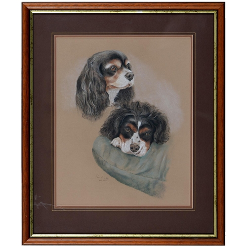 407 - Pam Coombs - Portrait of a King Charles Spaniel, signed and dated 1995, pastel, 41 x 33cm, a print a... 