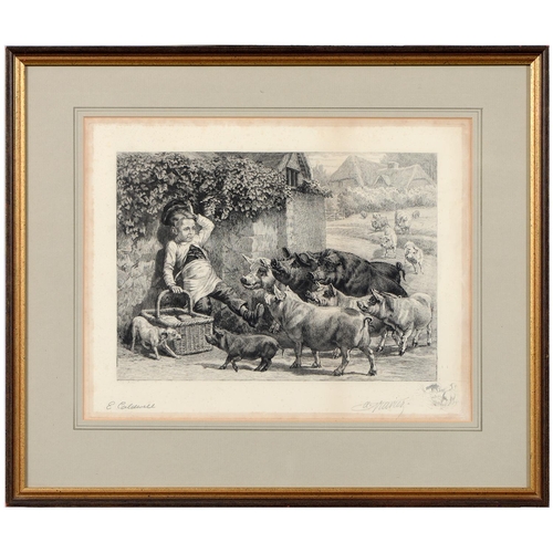 462 - Alexandre Louis Gravier (1835-1905) after Edmund Caldwell (1852-1930) - Pigs, etching, signed in pen... 